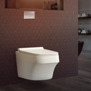 Amazon Aquasheet Wall Mount Toilet