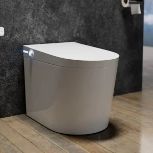 Element One Piece Toilet - S 220